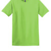 5000_lime_flat_front - Zippy Stitches - Custom Embroidery Services